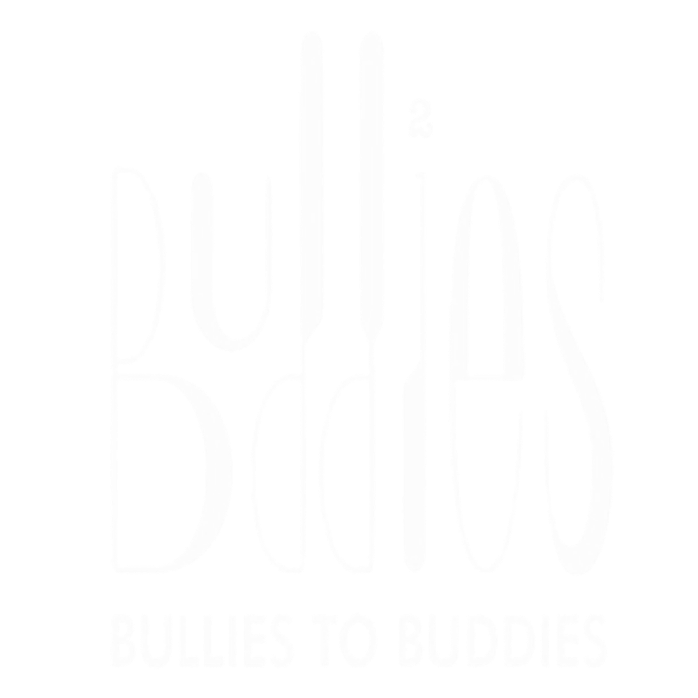 Logo Bullies To BuddiesBl | Pienso Puedo